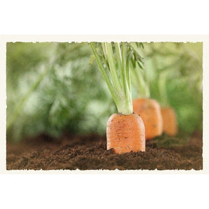 Carrot Carotene Relief Cream